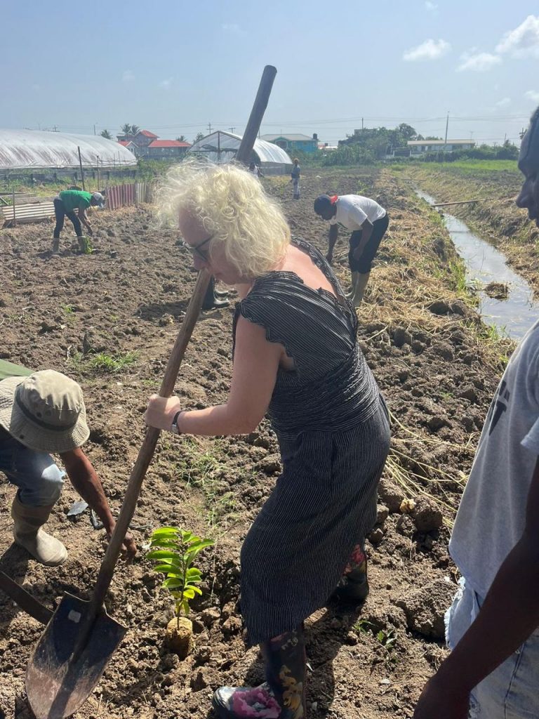 UK High Commissionner of Guyana helping for the tree planting project